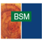 Logo-BSM-Bois-Saint-Malo